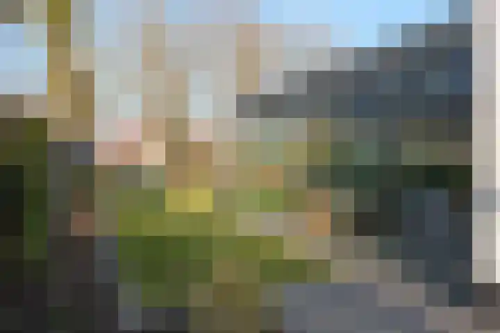 De Delle 53 Almelo thumbnail 45