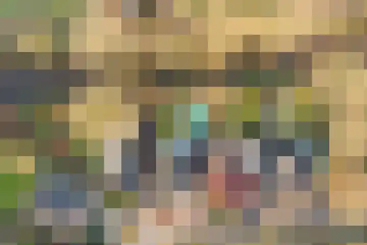 De Delle 53 Almelo thumbnail 48