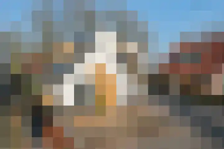 De Delle 53 Almelo thumbnail 50