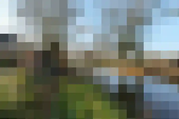 De Delle 53 Almelo thumbnail 7