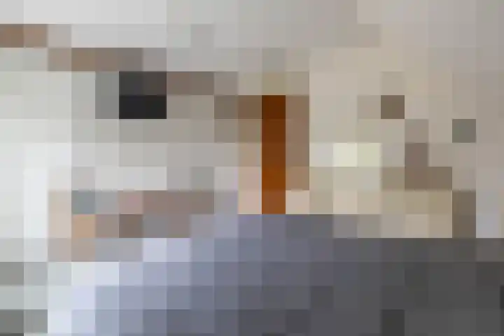 De Delle 64 Almelo thumbnail 19