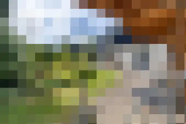 De Delle 64 Almelo thumbnail 26