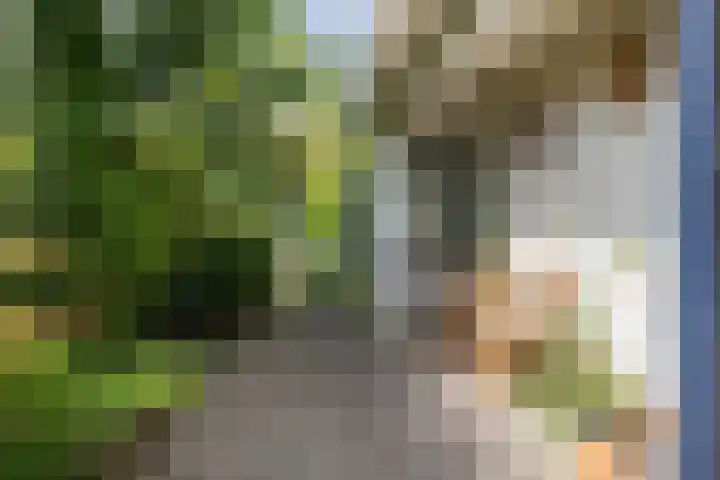 De Delle 64 Almelo thumbnail 29