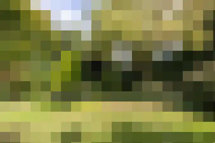 De Delle 64 Almelo thumbnail 31