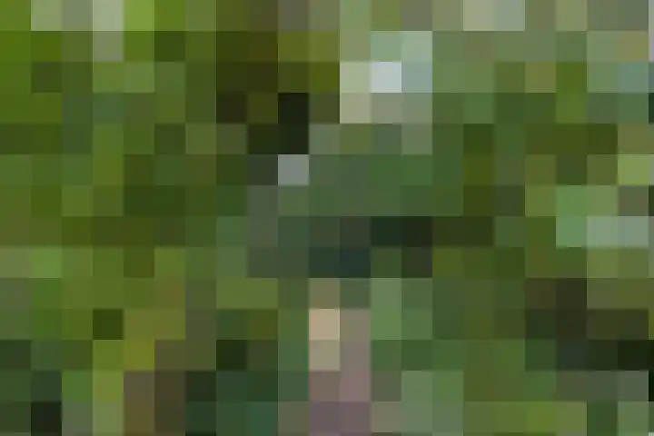 De Delle 64 Almelo thumbnail 32
