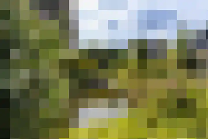 De Delle 64 Almelo thumbnail 33