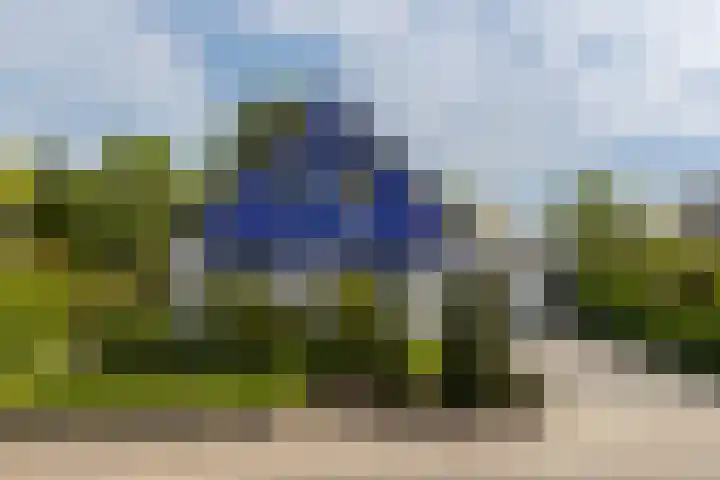 De Delle 66 Almelo foto 2