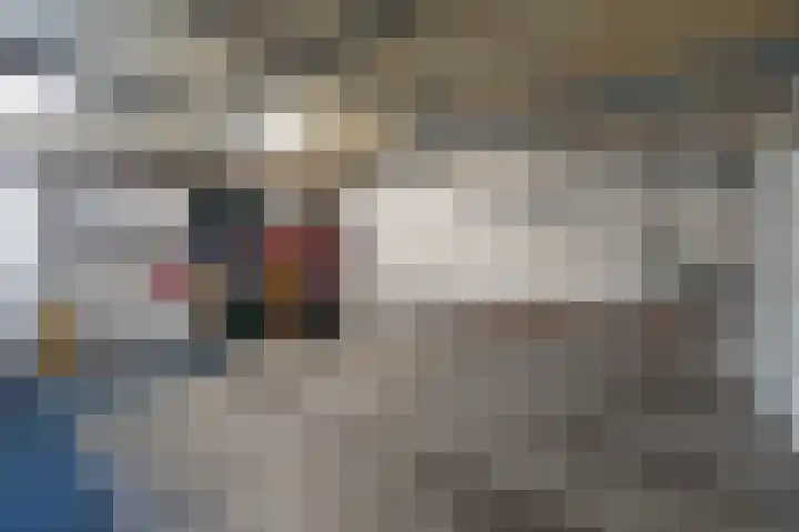 De Delle 66 Almelo thumbnail 25