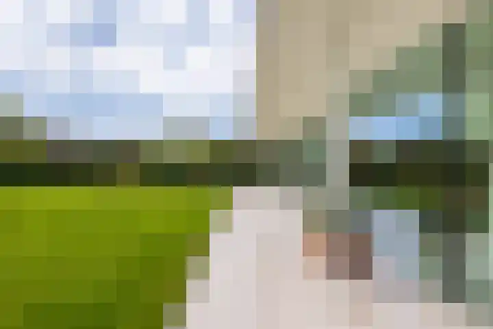 De Delle 66 Almelo thumbnail 26