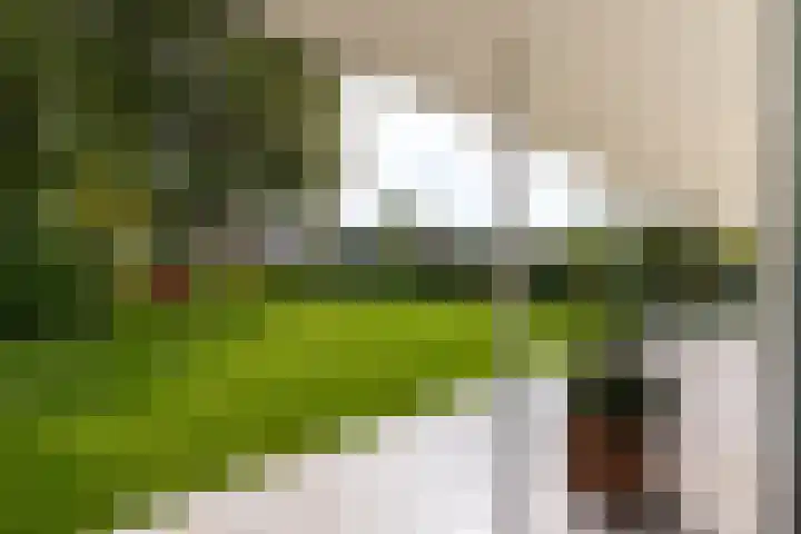 De Delle 66 Almelo thumbnail 27