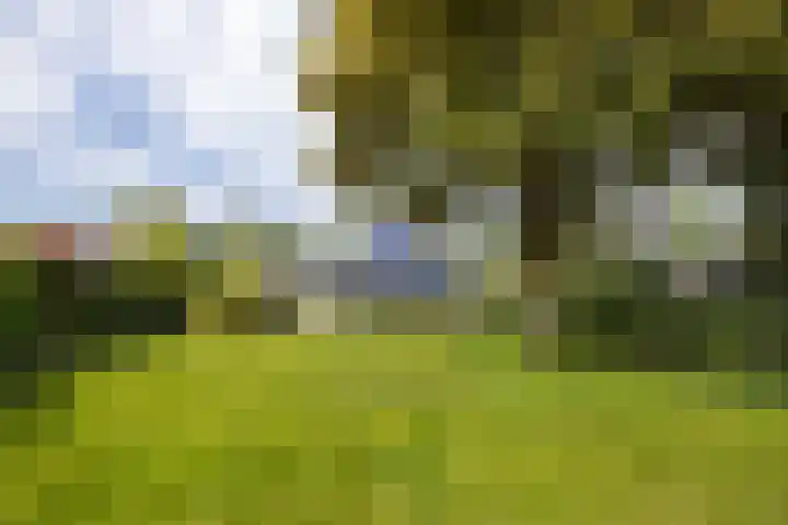 De Delle 66 Almelo thumbnail 28