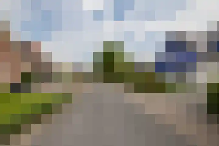 De Delle 66 Almelo thumbnail 30