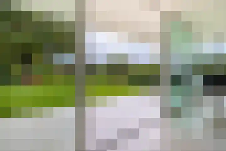 De Delle 66 Almelo thumbnail 4