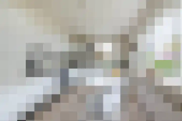 De Delle 66 Almelo thumbnail 7