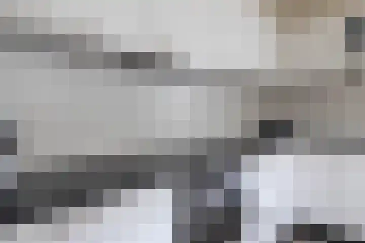 De Delle 66 Almelo thumbnail 8
