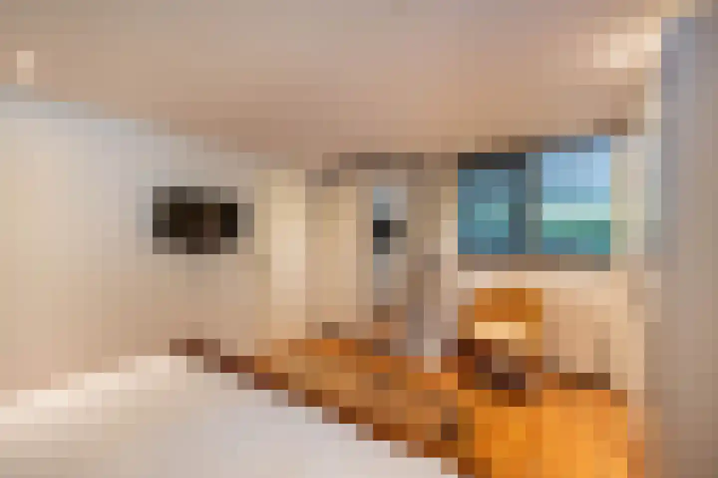 De Delle 79 Almelo thumbnail 20