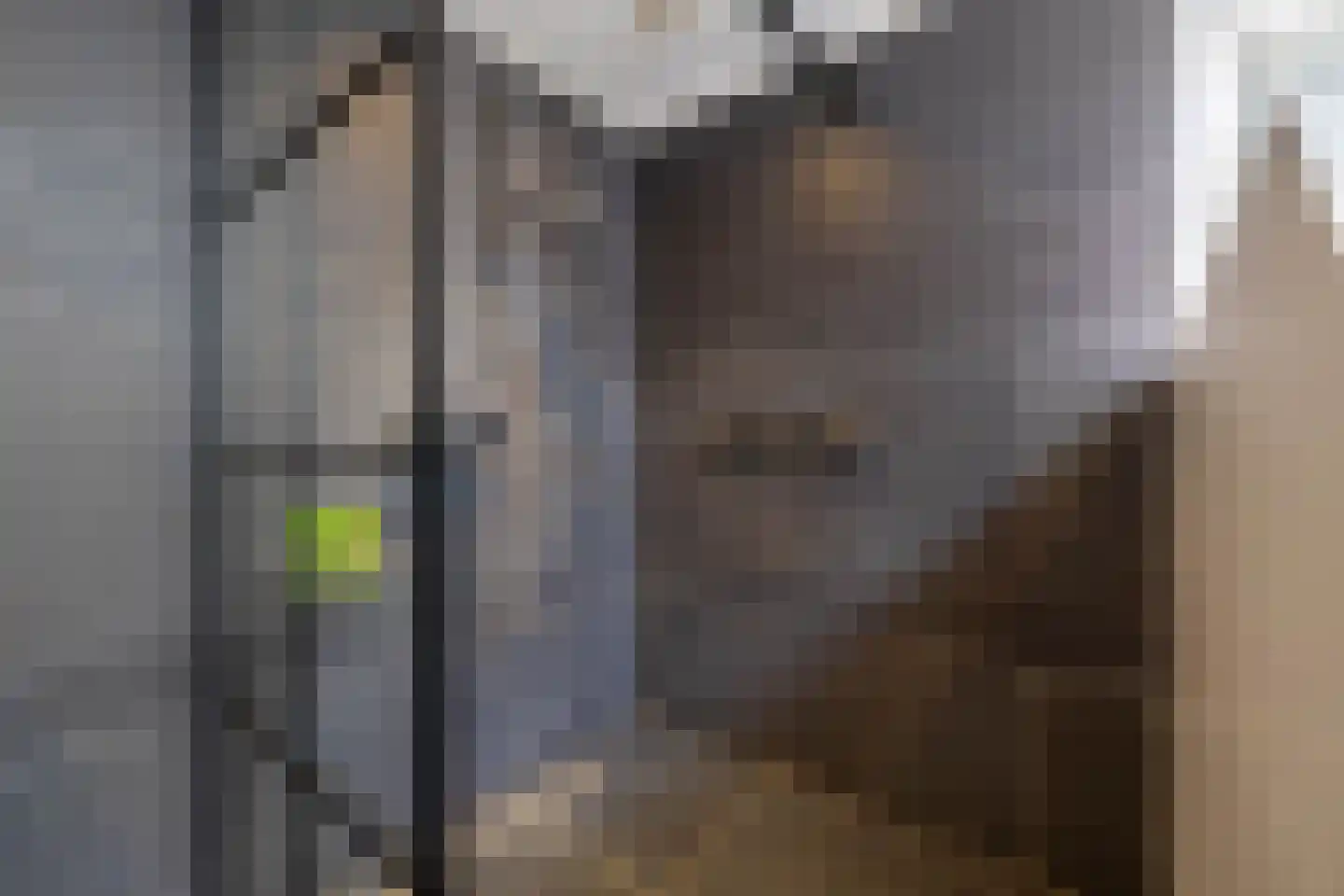 De Delle 79 Almelo thumbnail 22