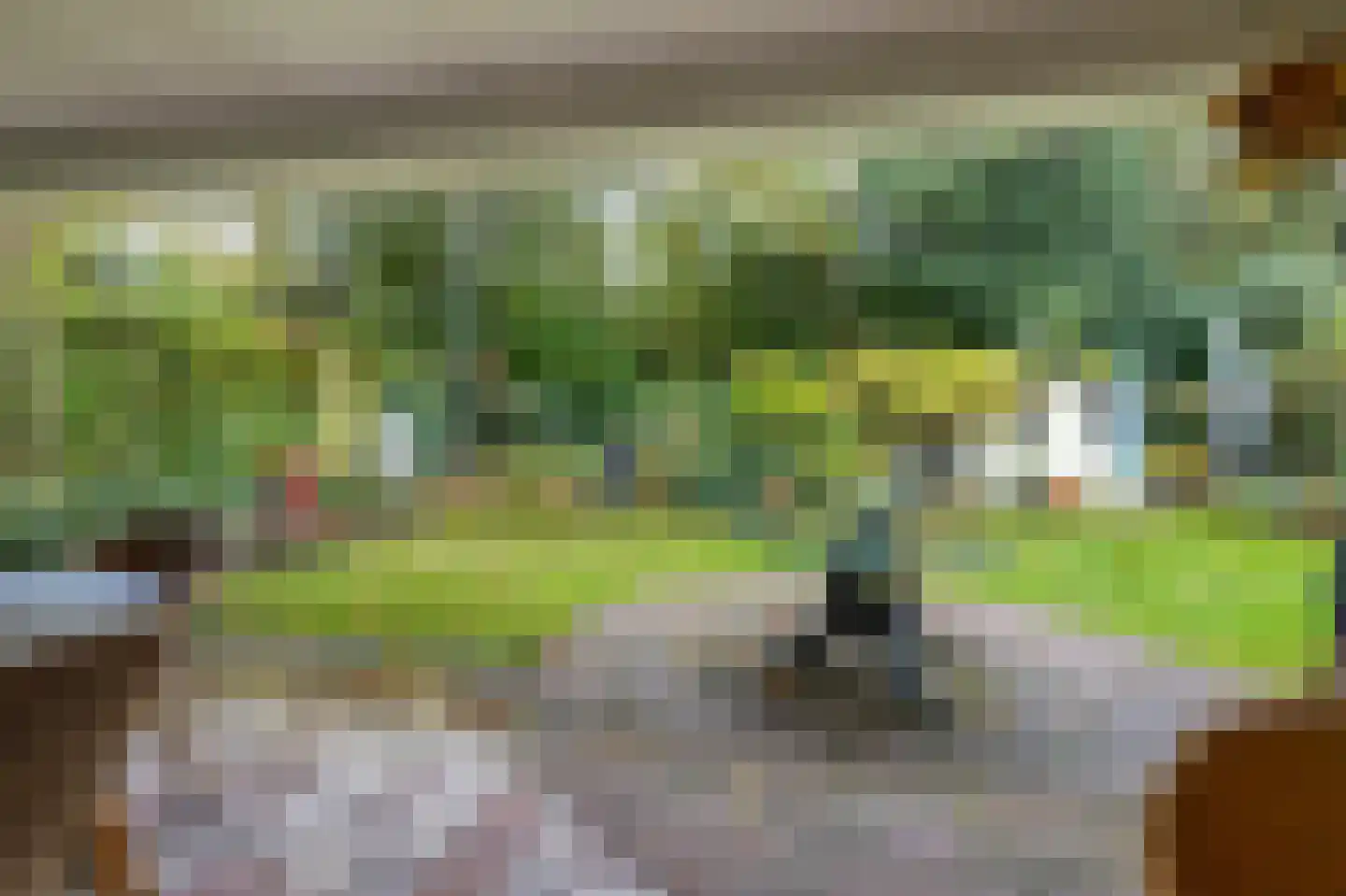 De Delle 79 Almelo thumbnail 35