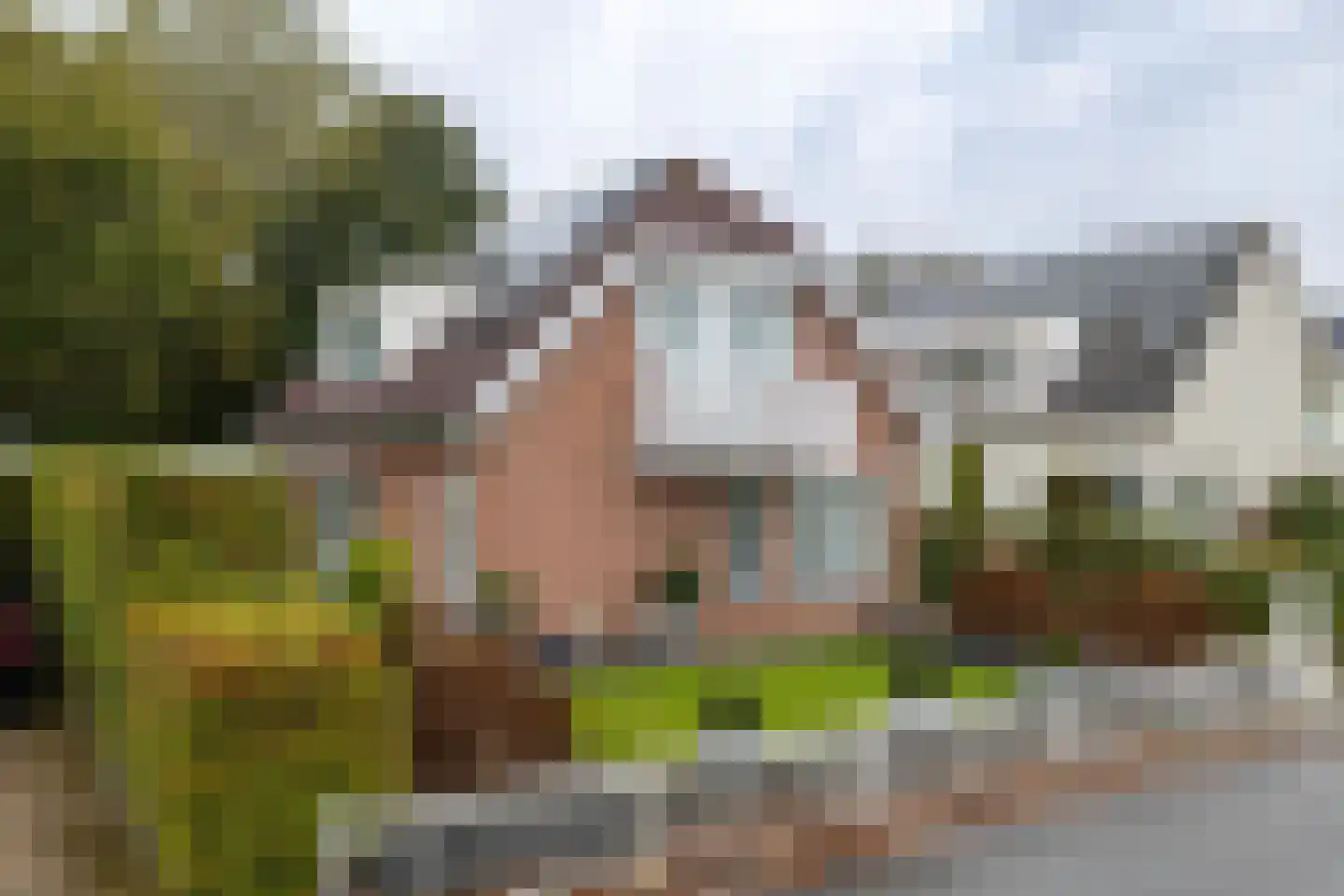 De Delle 79 Almelo thumbnail 37