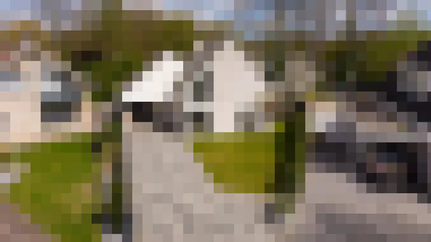 De Delle 82 Almelo thumbnail 15