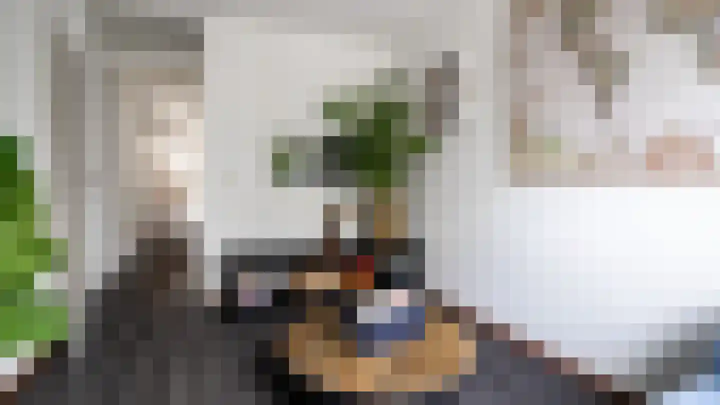 De Delle 82 Almelo thumbnail 19