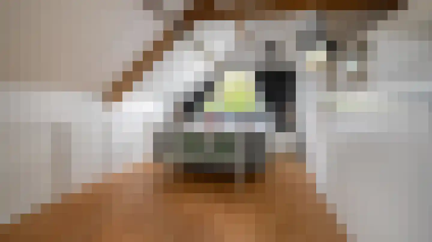 De Delle 82 Almelo thumbnail 30