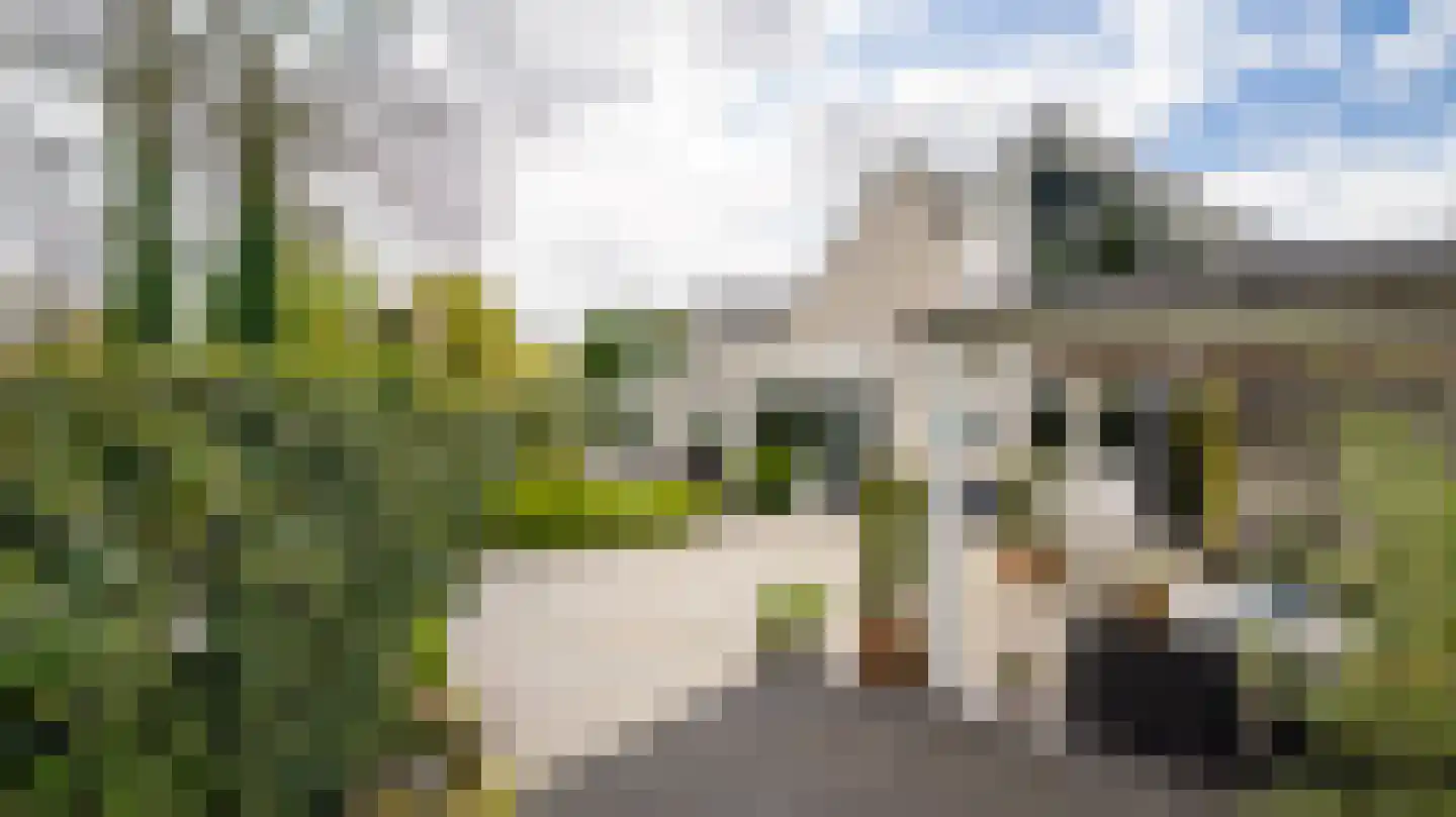 De Delle 82 Almelo thumbnail 39
