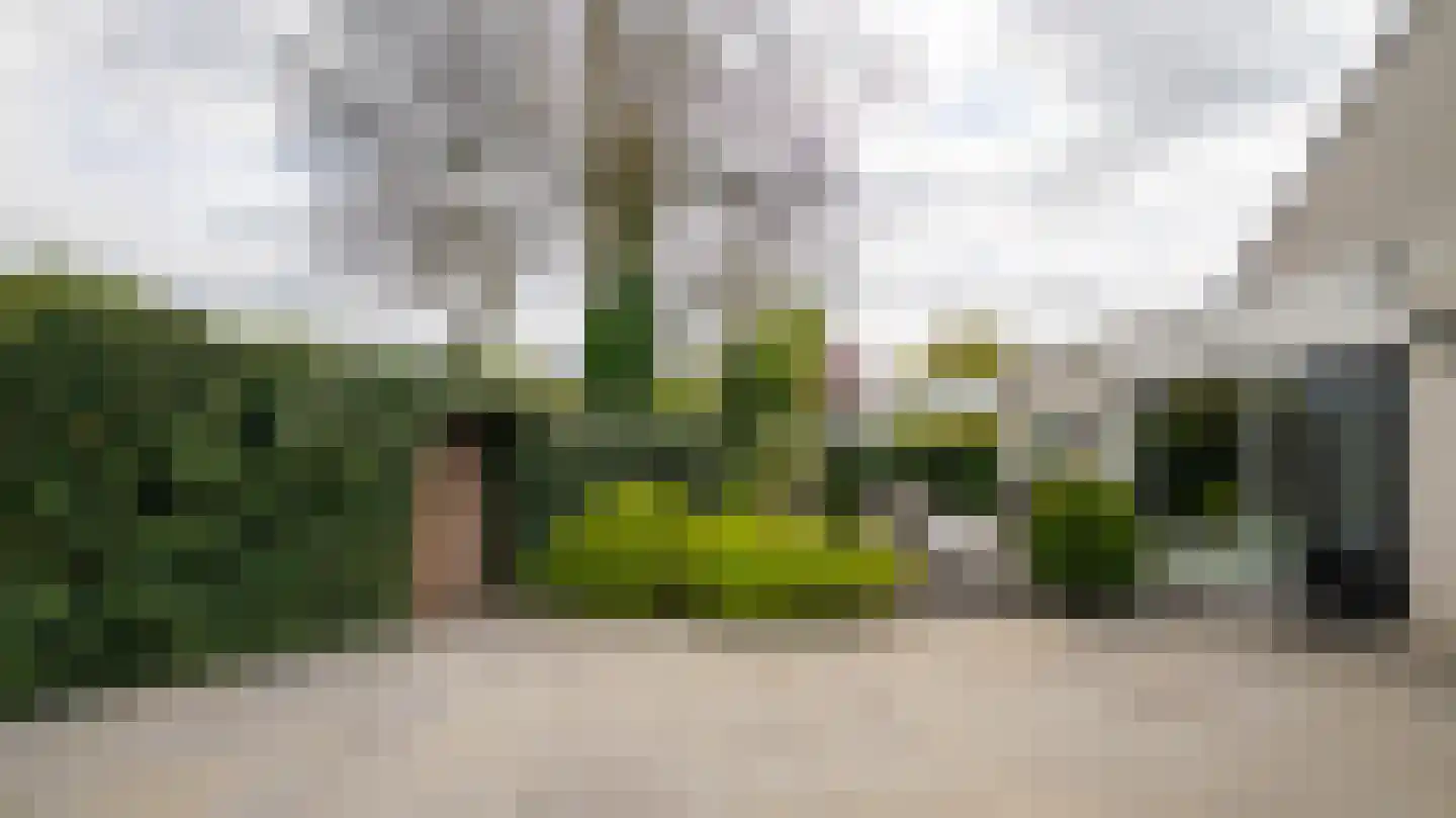 De Delle 82 Almelo thumbnail 43