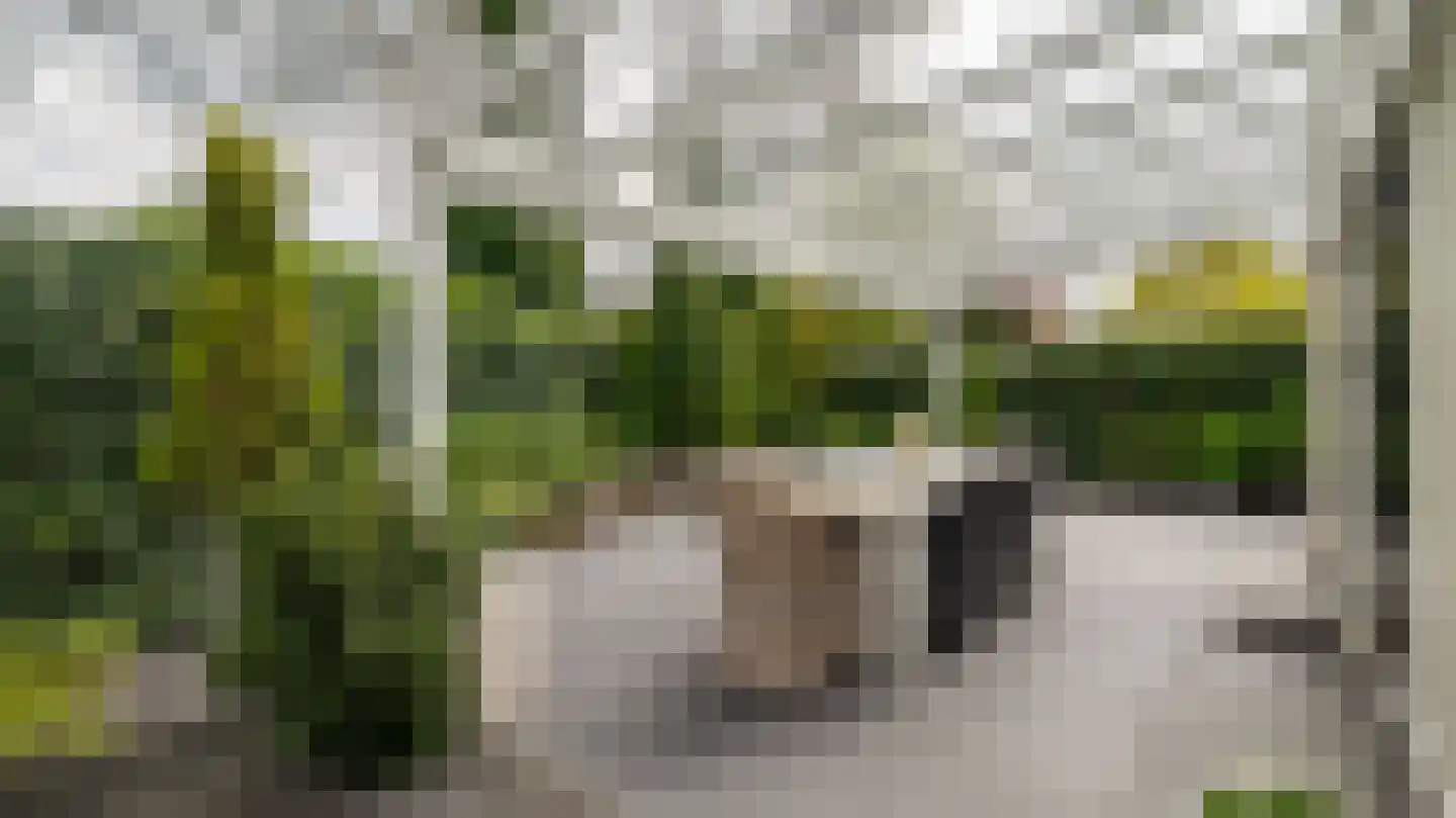 De Delle 82 Almelo thumbnail 45