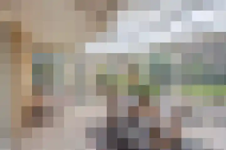 De Delle 85 Almelo thumbnail 21