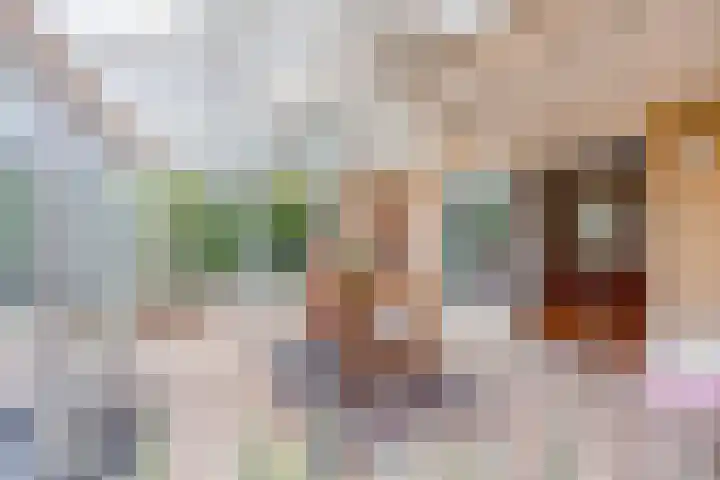 De Delle 85 Almelo foto 3