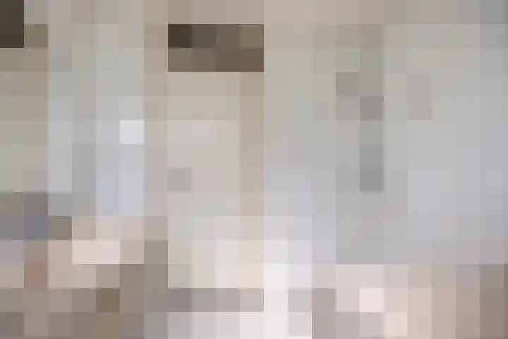 De Delle 85 Almelo thumbnail 36