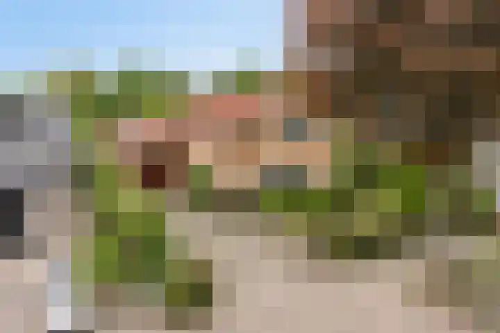 De Delle 85 Almelo thumbnail 4