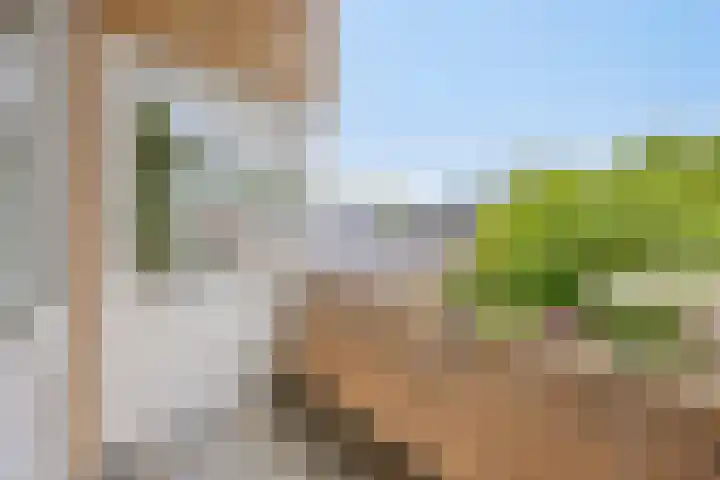 De Delle 85 Almelo thumbnail 48