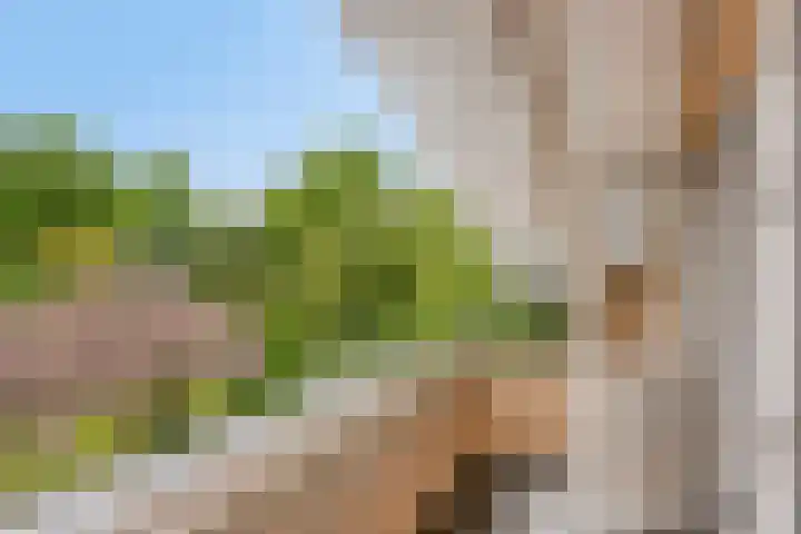 De Delle 85 Almelo thumbnail 49