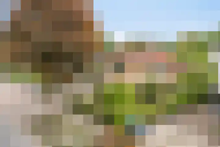 De Delle 85 Almelo thumbnail 5