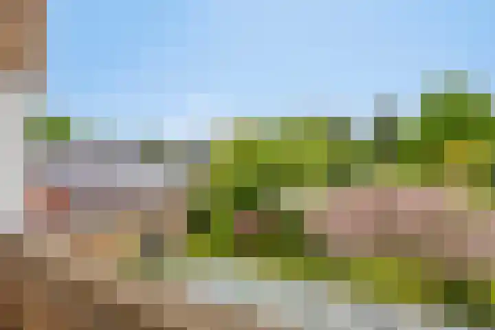 De Delle 85 Almelo thumbnail 50