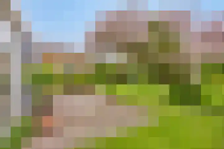 De Delle 85 Almelo thumbnail 53