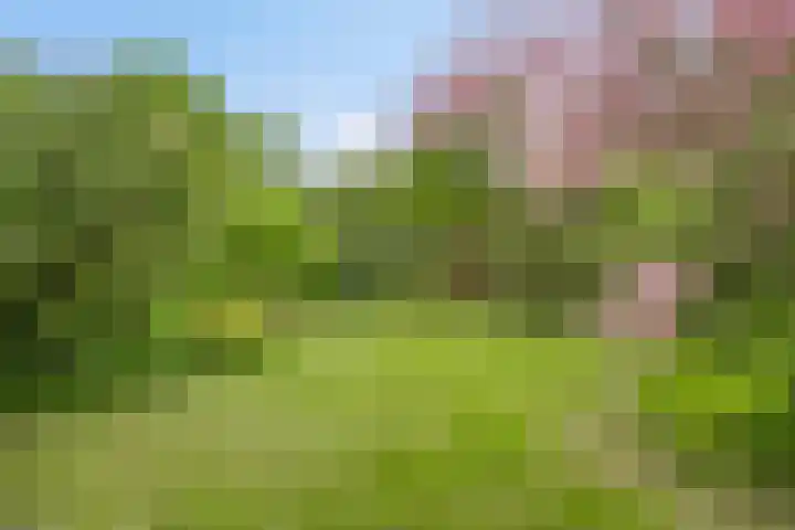 De Delle 85 Almelo thumbnail 54
