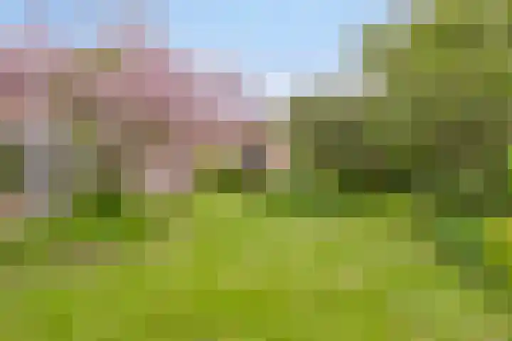 De Delle 85 Almelo thumbnail 55