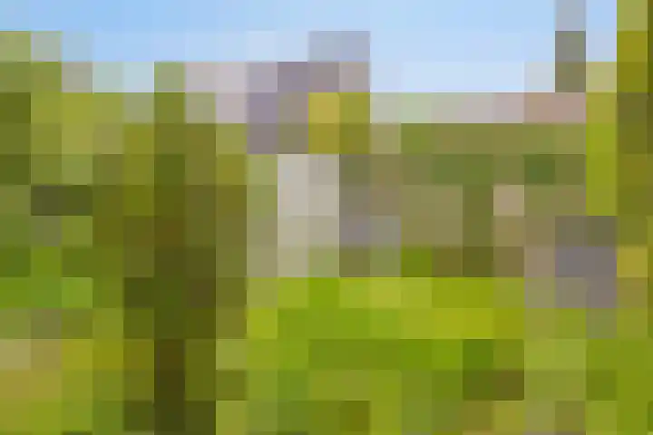 De Delle 85 Almelo thumbnail 57