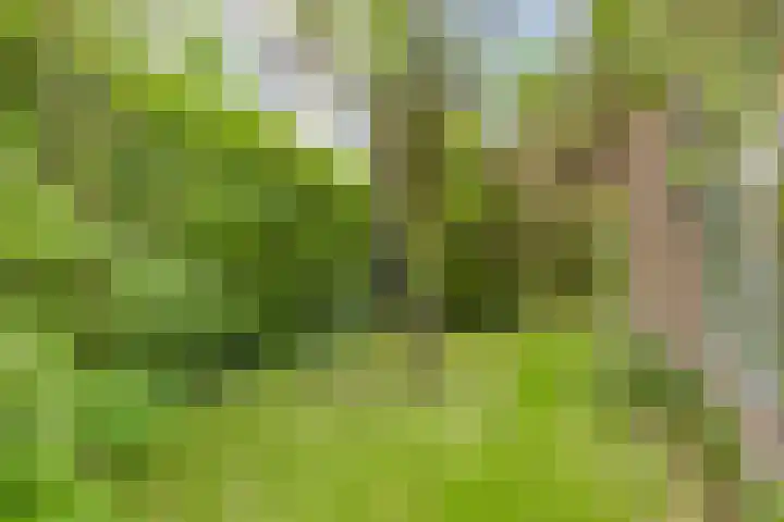 De Delle 85 Almelo thumbnail 58