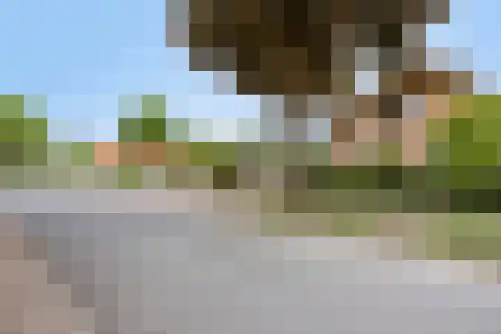 De Delle 85 Almelo thumbnail 6