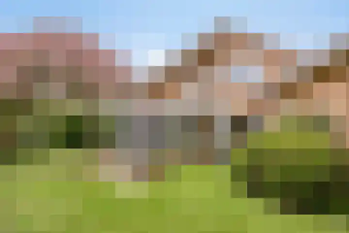De Delle 85 Almelo thumbnail 60