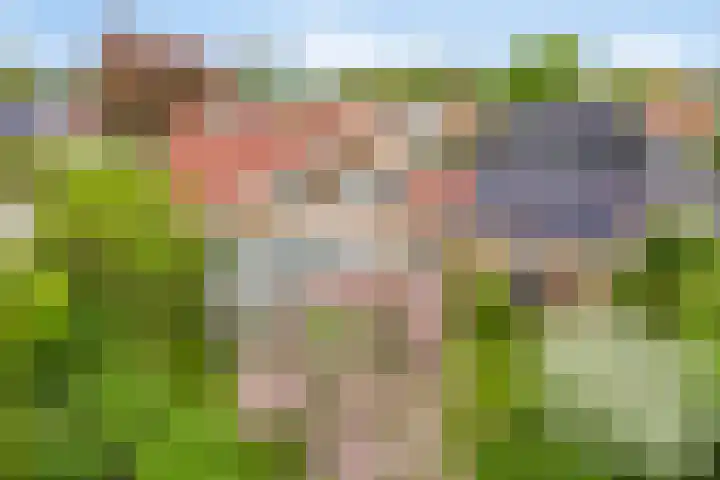 De Delle 85 Almelo thumbnail 61