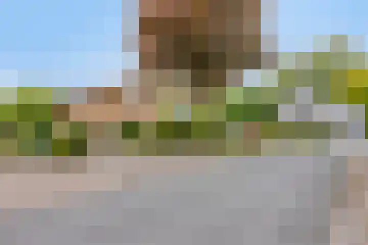De Delle 85 Almelo thumbnail 62