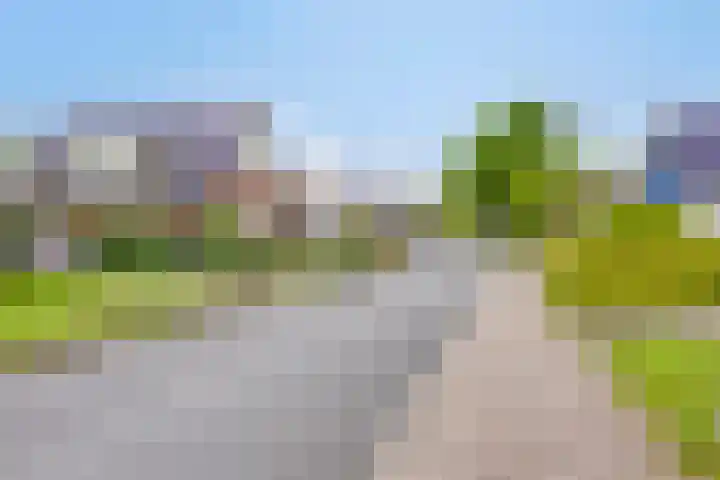 De Delle 85 Almelo thumbnail 64
