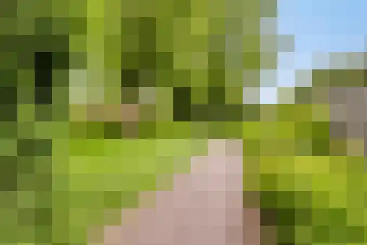 De Delle 85 Almelo thumbnail 65