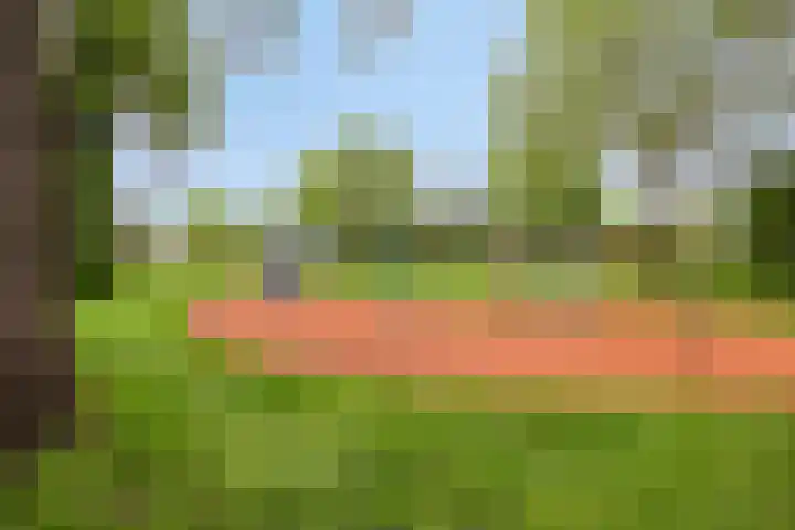 De Delle 85 Almelo thumbnail 66