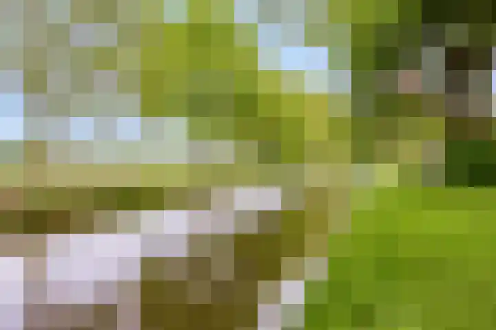 De Delle 85 Almelo thumbnail 67